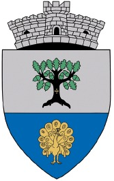 Stema Primăria Comunei Curtești Botoșani